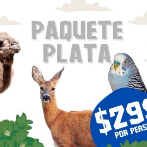 Paquete Plata