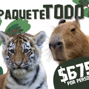 PaqueteTodo
